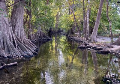 Cibolo Center for Conservation