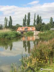 Redbridge Lakes