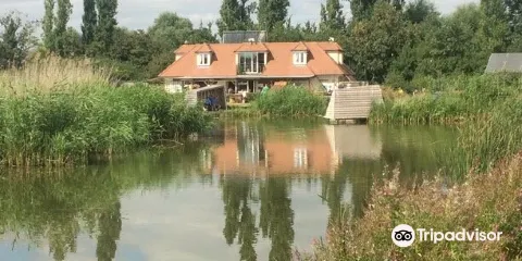 Redbridge Lakes