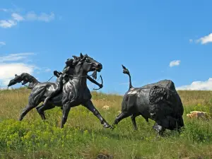 Tatanka Story of Bison