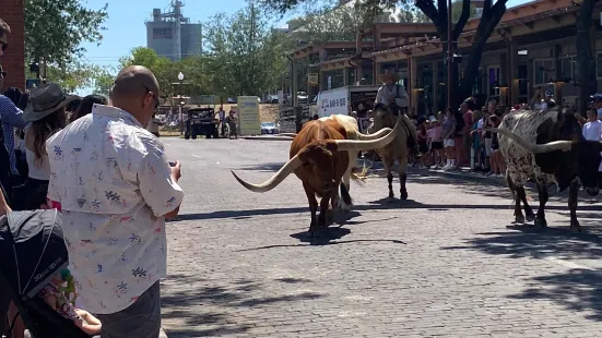 Fort Worth Herd