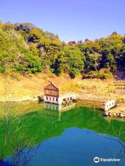 Remains of the Sogi Power Station