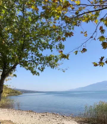 Serdivan