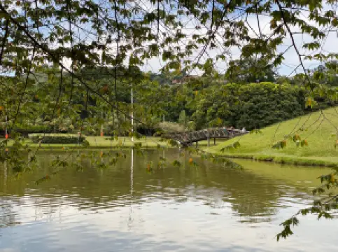 Science Park - Square Toys