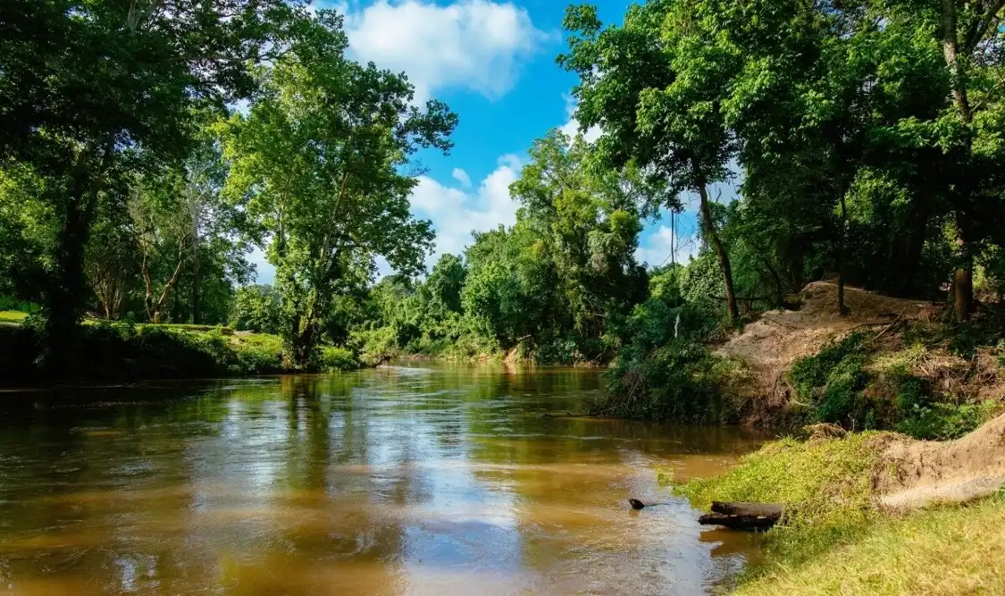 Hotel in zona Memorial Park