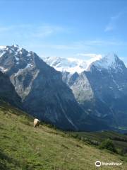 Grosse Scheidegg