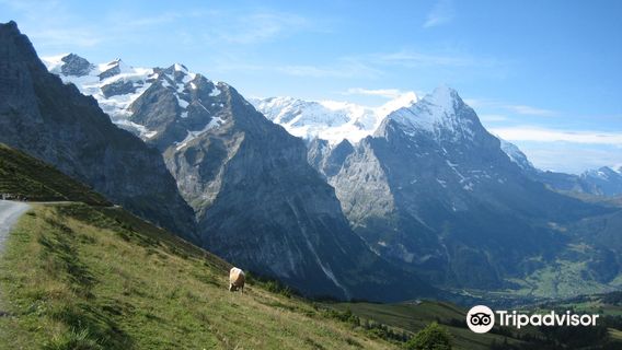 Grindelwald