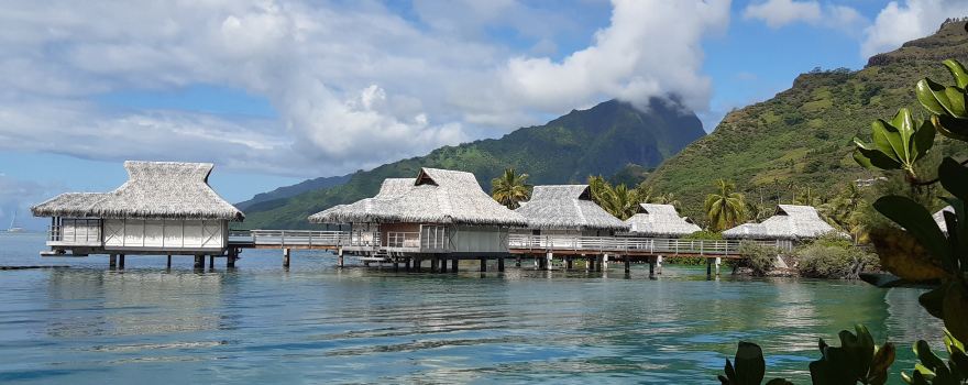 Moorea Dolphin Center