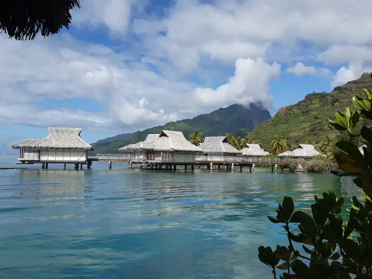 Hotels near Moorea Dolphin Center
