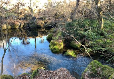 Deguchi-ike Pond