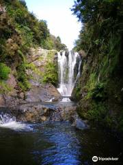 Piroa Falls Track