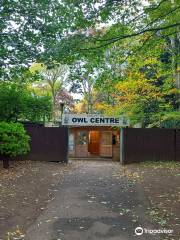 Kirkleatham Owl Centre