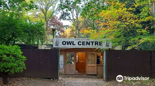 Kirkleatham Owl Centre