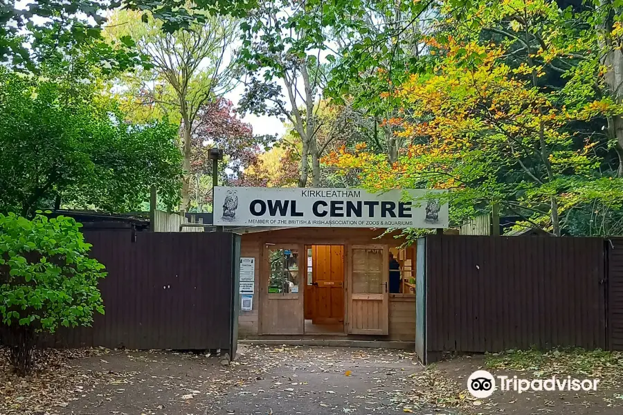 Kirkleatham Owl Centre