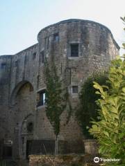 Ancien Castle de Barbencon