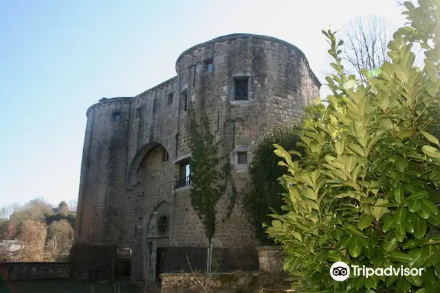 Ancien Castle de Barbencon