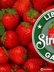 Libtong Strawberry Garden