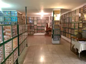 Entomological Museum