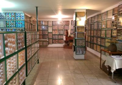 Entomological Museum