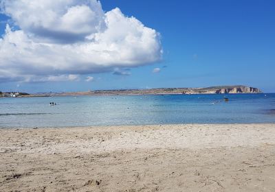 Armier Bay Beach