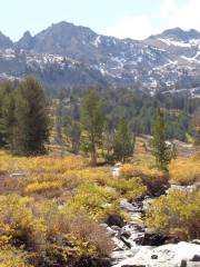 Humboldt National Forest