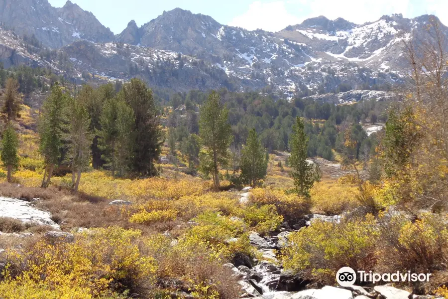 Humboldt National Forest