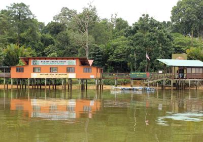 Bukit Merah Orang Utan Island Foundation