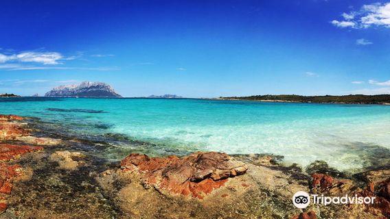 Olbia