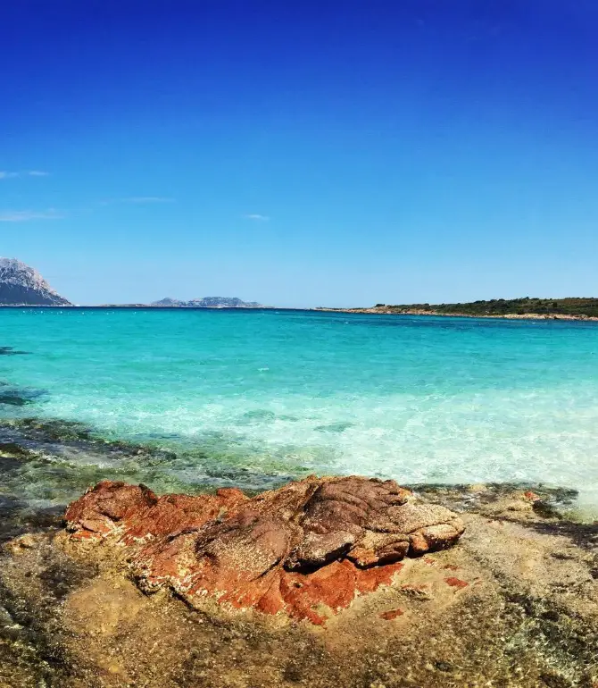 Olbia