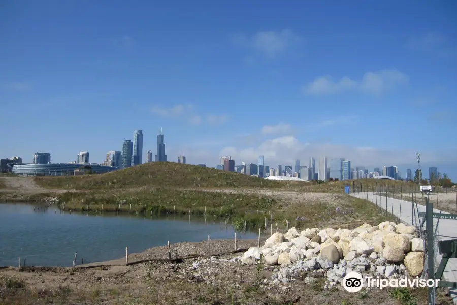 Northerly Island Park