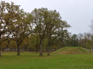 The Borre Mounds