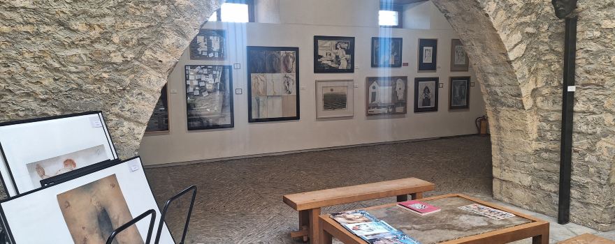Museo de Dibujo Julio Gavin-Castillo de Larres