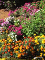 Munnar Rose Garden