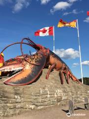 Shediac's Giant Lobster
