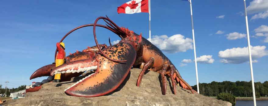 Shediac's Giant Lobster