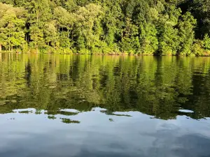 マーシュ・クリーク州立公園