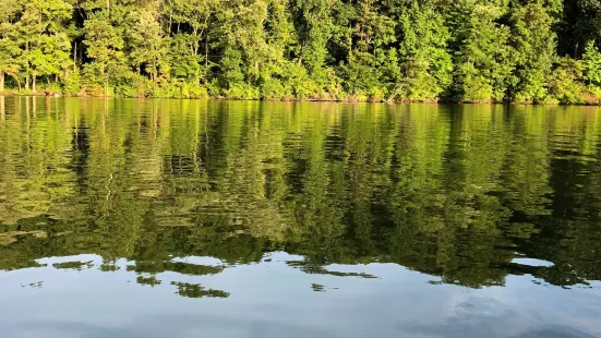 Marsh Creek State Park