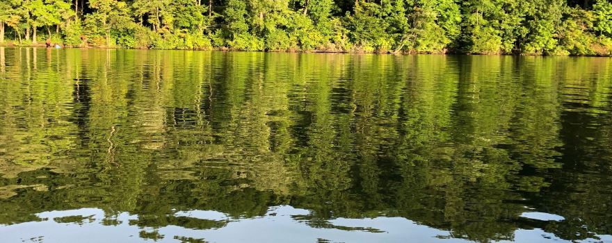 Marsh Creek State Park