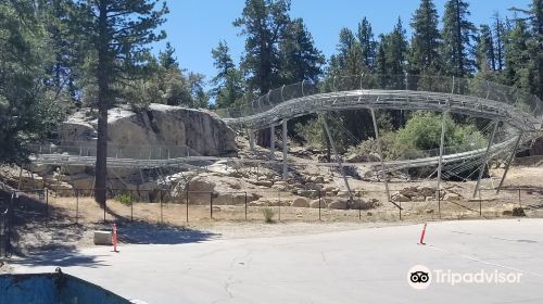 Alpine Slide at Magic Mountain