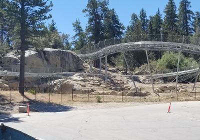 Alpine Slide at Magic Mountain