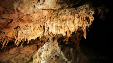 บอร์ซอดาบาอุยแซมเปลน