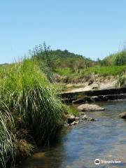 Klipriviersberg Nature Reserve