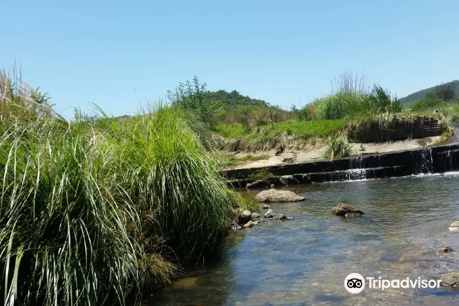 Klipriviersberg Nature Reserve