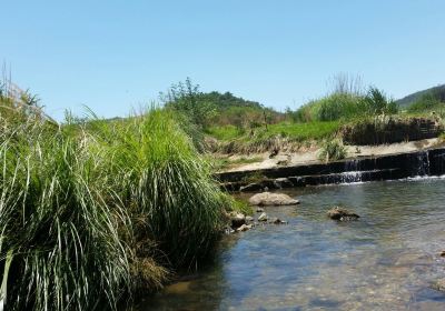 Klipriviersberg Nature Reserve