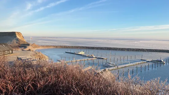 Ejerslev Havn