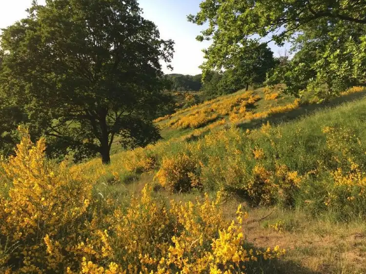 Hotels in Faaborg-Midtfyn Kommune