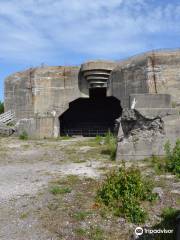 Movik Fort