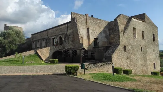 Museo del Cedro