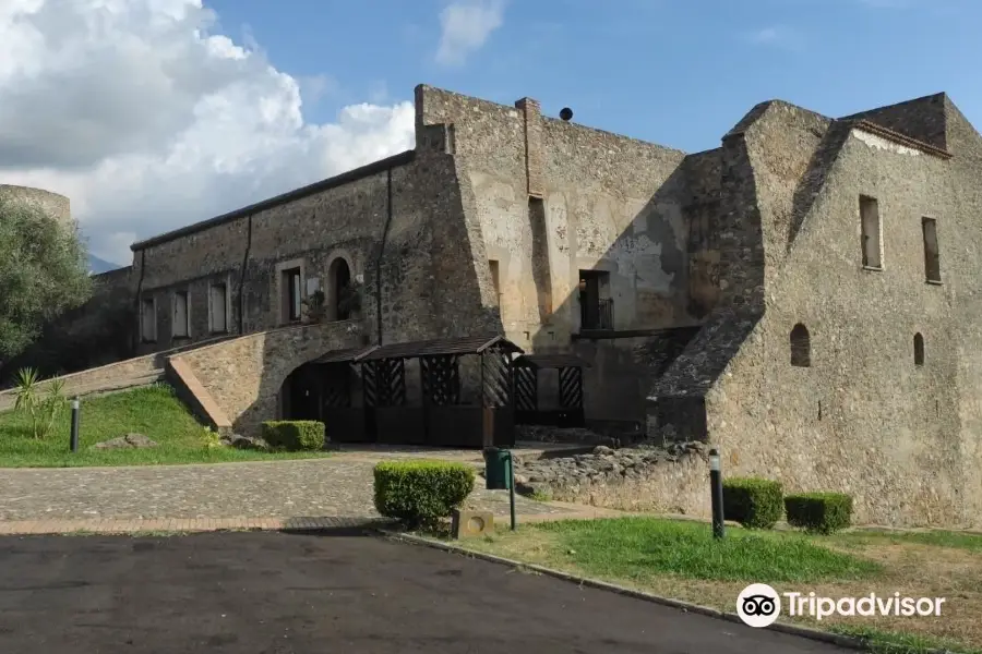 Museo del Cedro