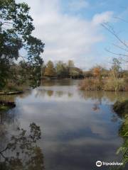 Fernland Historical Park